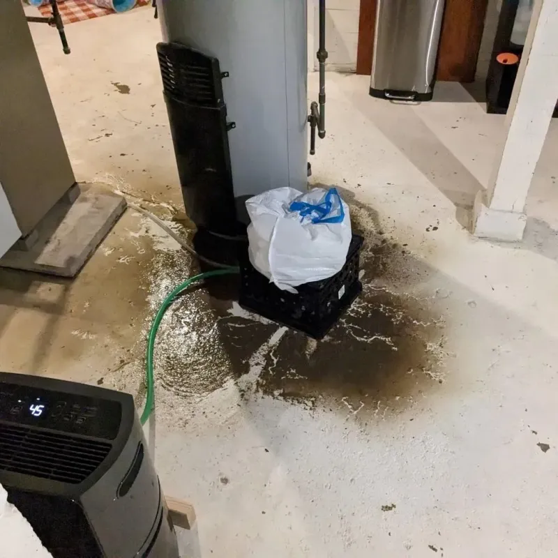 Sewage Backup Cleanup Service in Smithsburg, MD